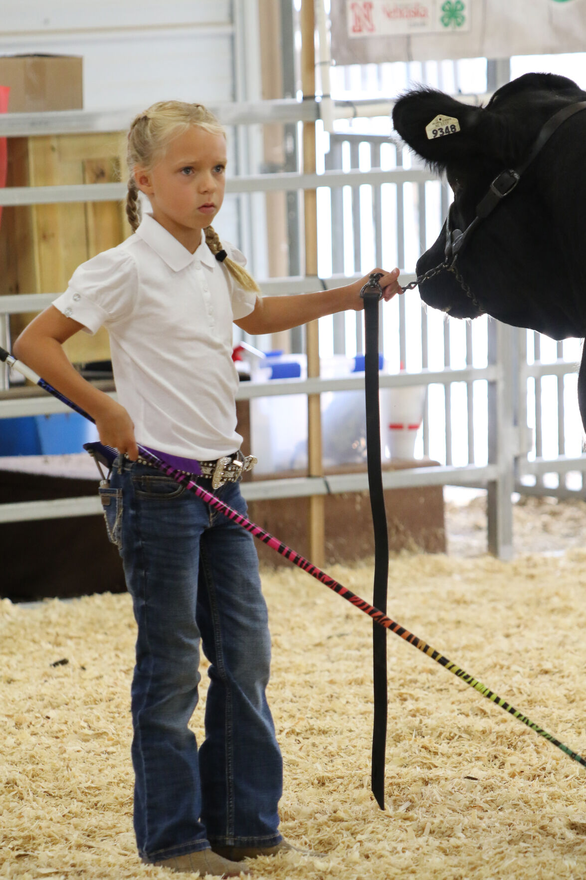 PHOTOS: Market Beef Show 2020